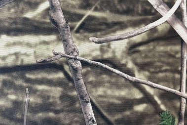 3D Camo Printing Fabric Neoprene Fabric